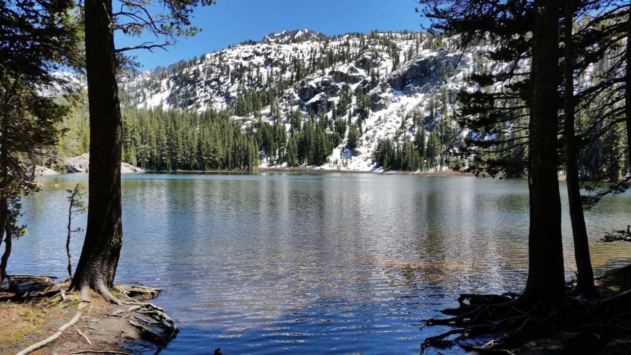 Apartament Marriott Grand Res Q4 #4256 South Lake Tahoe Zewnętrze zdjęcie